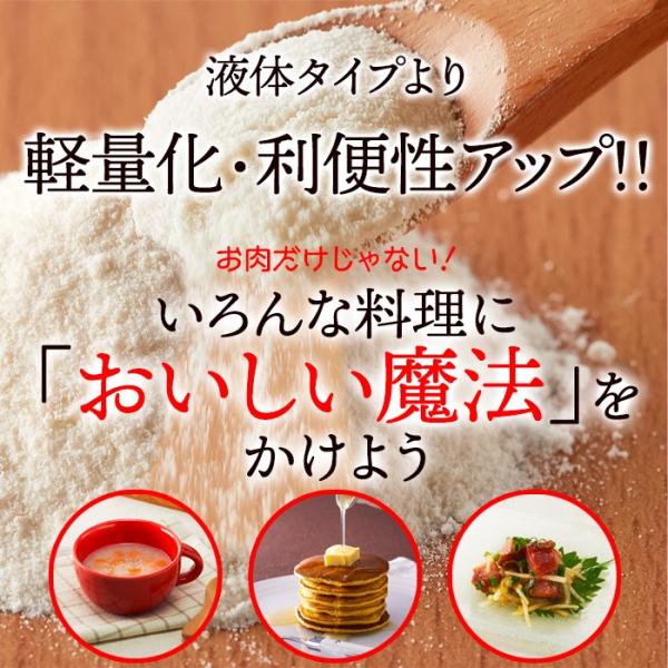 塩麹 粉末 パウダー 塩糀 こうじ 万能調味料 米麹 美容 醗酵