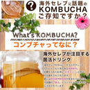 コンブチャ 酵母 紅茶キノコ 菌活 お茶 ハーブ ポリフェノール コラーゲン ダイエット 便秘 ルイボスティー 醗酵 砂糖不使用 保存料 無着色 【納期A】【sm00010517】