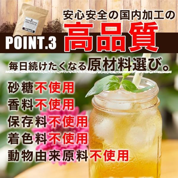 コンブチャ 酵母 紅茶キノコ 菌活 お茶 ハーブ ポリフェノール コラーゲン ダイエット 便秘 ルイボスティー 醗酵 砂糖不使用 保存料 無着色 【納期A】【sm00010517】