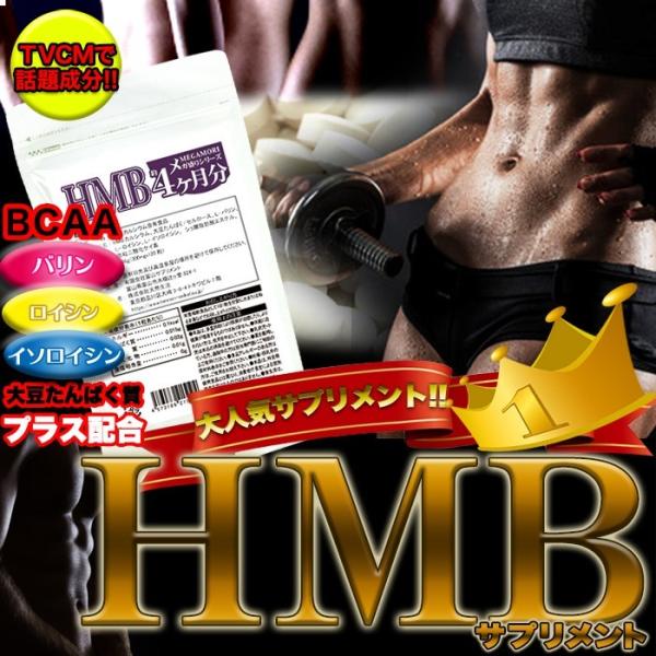 HMB サプリメント ダイエット トレーニング ジム 筋トレ 運動