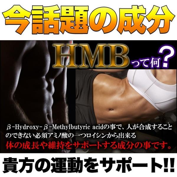 HMB サプリメント ダイエット トレーニング ジム 筋トレ 運動