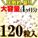 HMB サプリメント ダイエット トレーニング ジム 筋トレ 運動 スポーツ 体脂肪 筋肉 BCAA アミノ酸 たんぱく質 体型 フィットネス HmB 錠剤 【納期A】【sm00010519】
