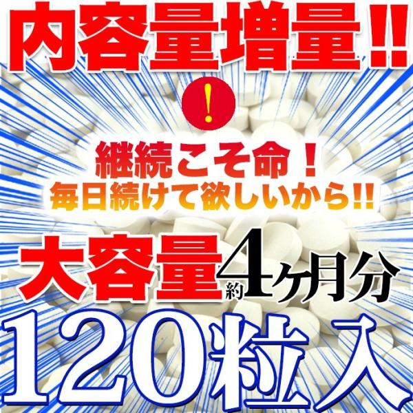 乳酸菌 サプリ ビフィズス菌 食物繊維 オリゴ糖 菌活 美容 健康