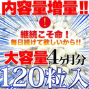 乳酸菌 サプリ ビフィズス菌 サプリメント 食物繊維 オリゴ糖 菌活 美容 健康 ダイエット 死菌 セルロース 国産 日本製 安心 安全 大容量 【納期A】【sm00010524】
