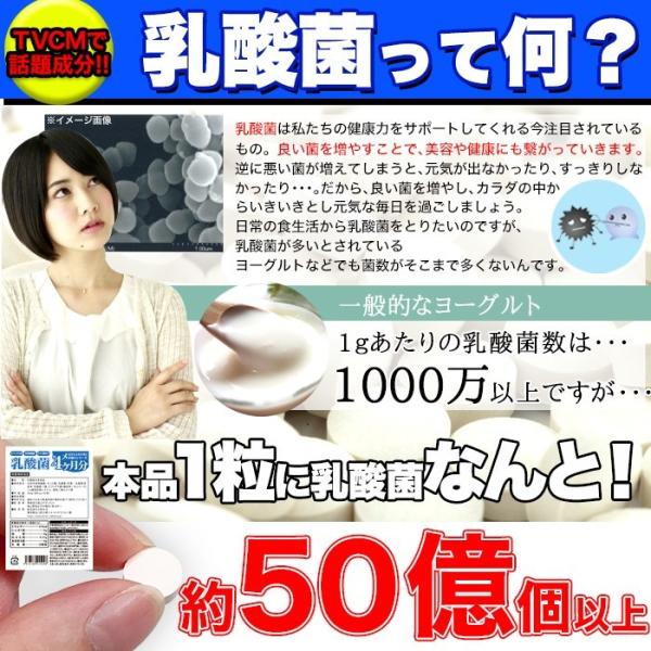 乳酸菌 サプリ ビフィズス菌 食物繊維 オリゴ糖 菌活 美容 健康