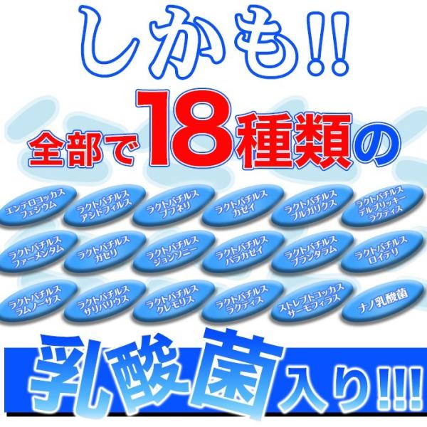 乳酸菌 サプリ ビフィズス菌 食物繊維 オリゴ糖 菌活 美容 健康