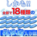 乳酸菌 サプリ ビフィズス菌 サプリメント 食物繊維 オリゴ糖 菌活 美容 健康 ダイエット 死菌 セルロース 国産 日本製 安心 安全 大容量 【納期A】【sm00010524】