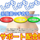 乳酸菌 サプリ ビフィズス菌 サプリメント 食物繊維 オリゴ糖 菌活 美容 健康 ダイエット 死菌 セルロース 国産 日本製 安心 安全 大容量 【納期A】【sm00010524】