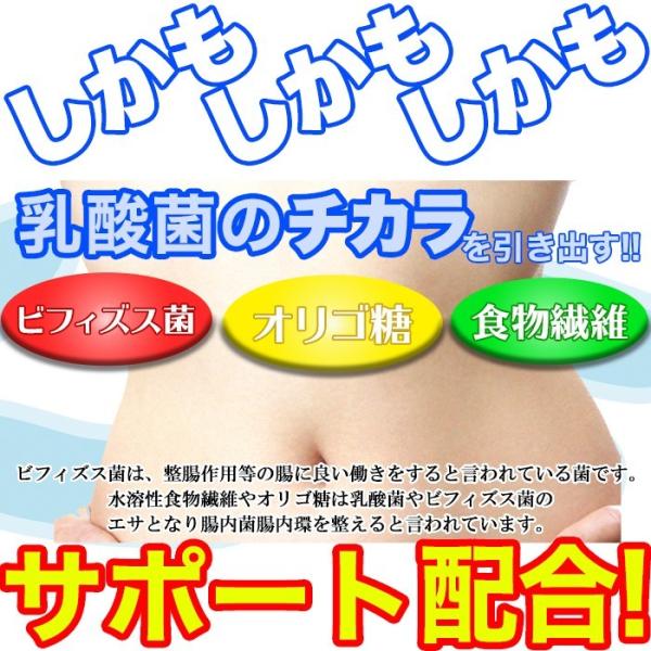 乳酸菌 サプリ ビフィズス菌 食物繊維 オリゴ糖 菌活 美容 健康