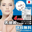 乳酸菌 サプリ ビフィズス菌 サプリメント 食物繊維 オリゴ糖 菌活 美容 健康 ダイエット 死菌 セルロース 国産 日本製 安心 安全 大容量 【納期A】【sm00010524】