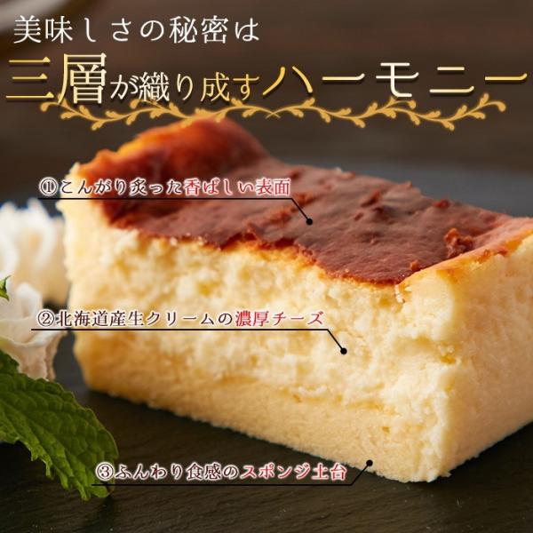 バスクチーズケーキ バスチー バスク チーズケーキ ナチュラルチーズ 北海道産生クリーム ロングサイズ 大きい 濃厚 誕生日 記念日 冷凍便 【納期E】【sm00010529】