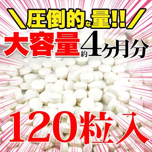 プロテオグリカン サプリメント コラーゲン プラセンタ ヒアルロン酸 セラミド ビタミンC A D 美容 保水 年齢肌 乾燥 関節 スキンケア 国産 【納期A】【sm00010581】