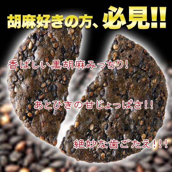 胡麻せんべい 煎餅 うるち米 国産 国内製造 甘辛 醤油 しょうゆ