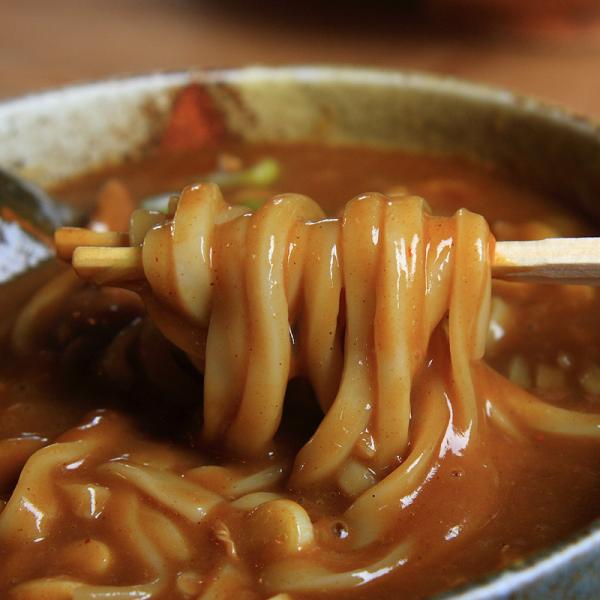 カレーうどん レトルト 讃岐 製麺所 直送 饂飩 カレースープ 粉末 だし 出汁 天然塩 さぬき 美味しい 4食セット 国産 ゆで 茹で ポスト投函 【納期E】【sm00010634】