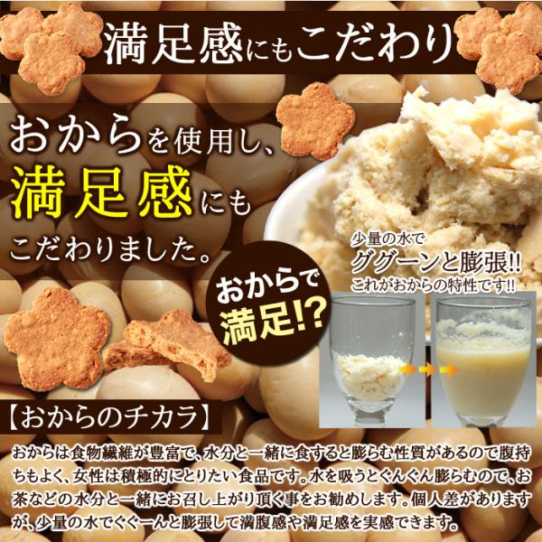 豆乳おからクッキー 豆乳クッキー 訳あり 大量 ダイエット 国産