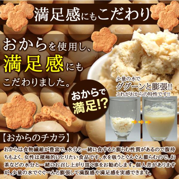 豆乳おからクッキー 豆乳クッキー おからクッキー 訳あり 大量 ダイエット 美味しい 米粉 てんさい糖 国内製造 国産 クッキー ビスケット 【納期E】【sm00010647】