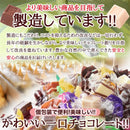 チョコレート いちご マスカット 生クリームミルク バナナ ホワイト ビター ヨーグルト キャラメル メロン ピーチ バター ブルーベリー 【納期E】【sm00010650】