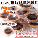 タルト ベイクドチョコタルト チョコレート チョコタルト ビター 濃厚 カカオ タルトケーキ 小さめ 小型 おやつ お菓子 個包装 洋菓子 国産 【納期E】【sm00010665】