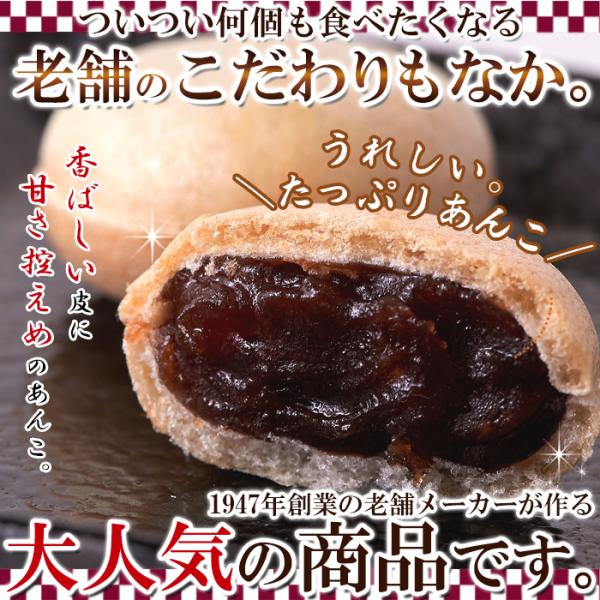 もなか 和菓子 最中 甘さ控えめ あんこ 餡子 一口サイズ ひとくち 小さめ 食物添加物不使用 国産 国内製造 おかし お茶請け おやつ 最中皮 【納期E】【sm00010671】