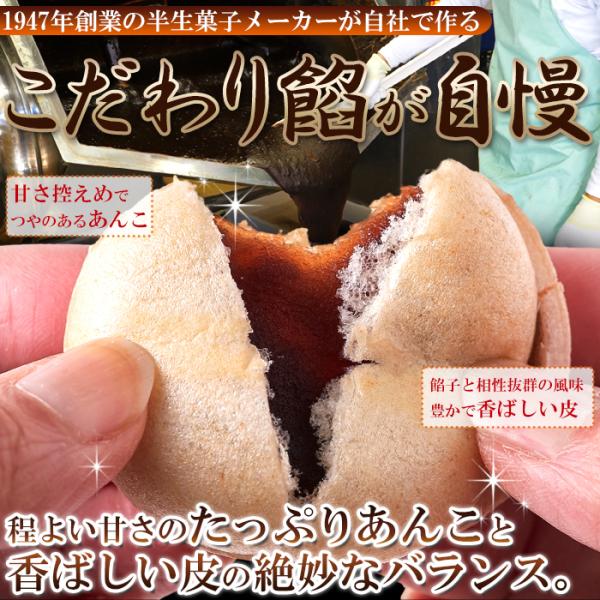 もなか 和菓子 最中 皮 甘さ控えめ あんこ 餡子 国産 国内製造