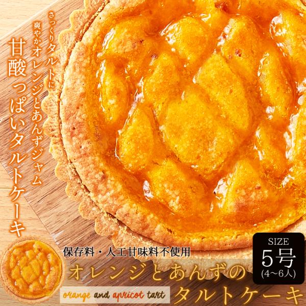 タルトケーキ 5号 ホール オレンジ あんず 杏 ビスキー生地