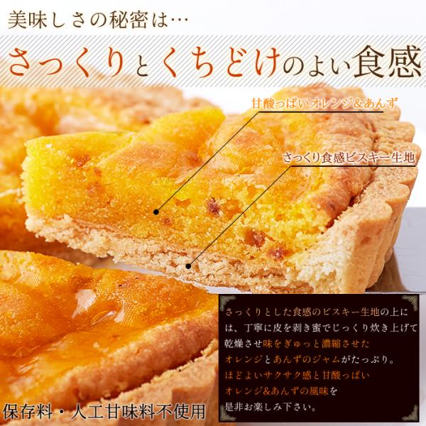 タルトケーキ 5号 ホール オレンジ あんず 杏 ビスキー生地