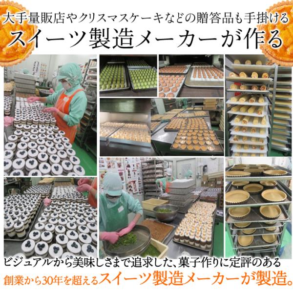 タルトケーキ 5号 ホール オレンジ あんず 杏 ビスキー生地