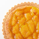 タルトケーキ 5号 ホール ケーキ オレンジ あんず 杏 保存料不使用 人工甘味料不使用 ビスキー生地 ジャム 甘酸っぱい 美味しい ポスト投函 【納期E】【sm00010707】