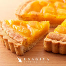 タルトケーキ 5号 ホール ケーキ オレンジ あんず 杏 保存料不使用 人工甘味料不使用 ビスキー生地 ジャム 甘酸っぱい 美味しい ポスト投函 【納期E】【sm00010707】