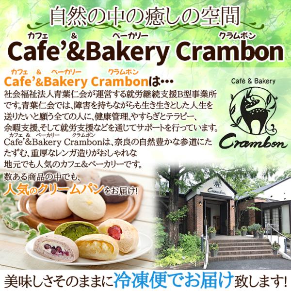 冷やしクリームパン 冷たい 冷凍 10個 苺 いちごミルク カスタードクリーム リンゴ チョコレート バナナ ブルーベリー チーズ カシス 抹茶 【納期E】【sm00010724】