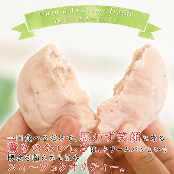 冷やしクリームパン 冷たい 冷凍 10個 苺 いちごミルク カスタードクリーム リンゴ チョコレート バナナ ブルーベリー チーズ カシス 抹茶 【納期E】【sm00010724】
