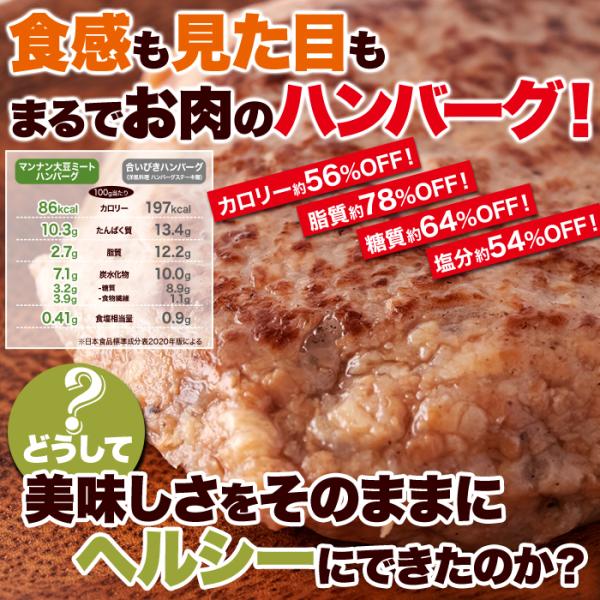 大豆ハンバーグ マンナン レトルト 低カロリー グルテンフリー