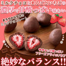 ミルクチョコ まるごといちごチョコ フリーズドライ いちご 苺 イチゴ 濃厚 ミルクチョコレート コーティング 濃厚 甘み 酸味 美味しい 【納期E】【sm00010769】