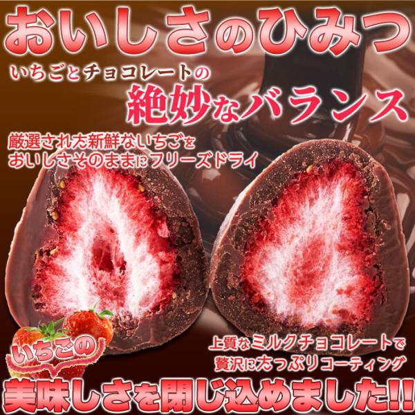 ミルクチョコ まるごといちごチョコ フリーズドライ いちご 苺 イチゴ