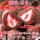 ミルクチョコ まるごといちごチョコ フリーズドライ いちご 苺 イチゴ 濃厚 ミルクチョコレート コーティング 濃厚 甘み 酸味 美味しい 【納期E】【sm00010769】
