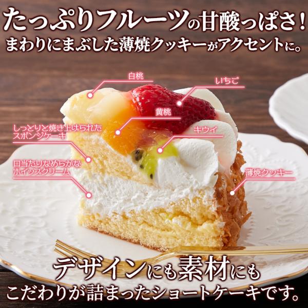 フルーツケーキ ショートケーキ ホールケーキ 5号 サイズ 果物 白桃 黄桃 ピーチ ブルーベリー イチゴ 苺 キウイ 生クリーム 誕生日 記念日 【納期E】【sm00010771】