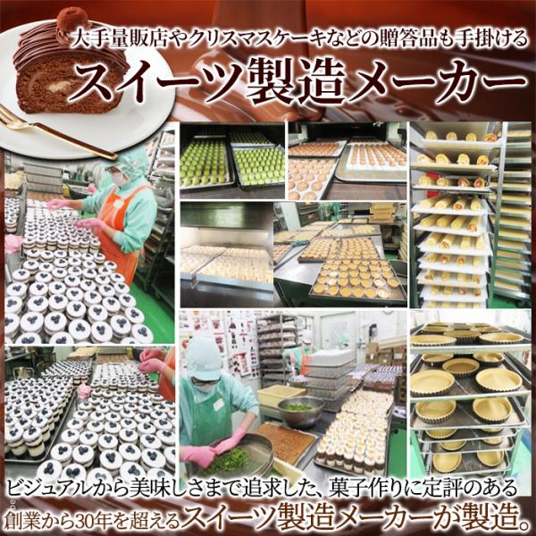 チョコレートケーキ チョコケーキ ロールケーキ チョコロールケーキ クーベルチュールチョコレート 生クリーム 大きい サイズ 濃厚 誕生日 【納期E】【sm00010773】