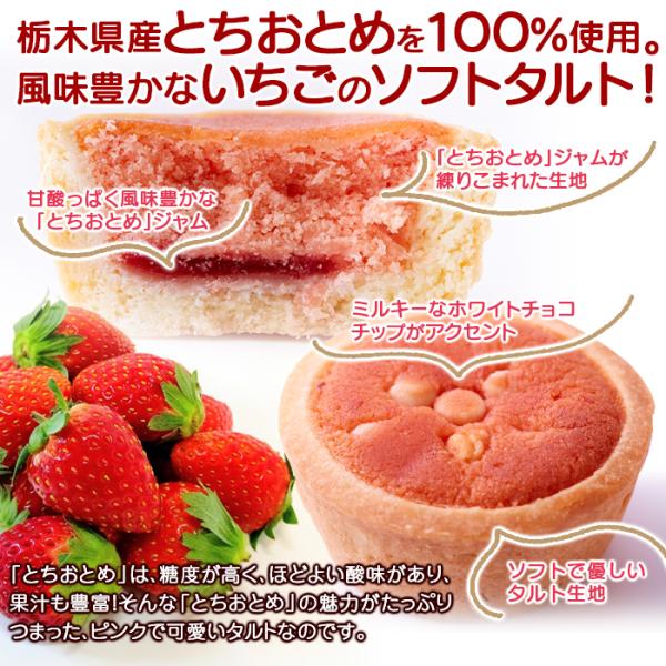 いちごタルト イチゴ 苺 ストロベリー タルトケーキ とちおとめ