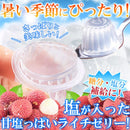 ソルティライチゼリー ライチゼリー ライチ ミネラル 糖分補給 塩分補給 保存料不使用 着色料不使用 国内製造 熱中症対策 夏 部活 スポーツ 【納期E】【sm00010840】