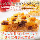 アップルレーズンパイ 5号 サイズ ホール りんごプレザーブ レーズンパイ アップルパイ 林檎 保存料不使用 人工甘味料不使用 ポスト投函 【納期E】【sm00010844】