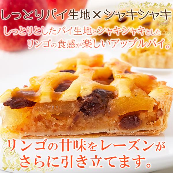 アップルレーズンパイ 5号 サイズ ホール りんごプレザーブ レーズンパイ アップルパイ 林檎 保存料不使用 人工甘味料不使用 ポスト投函 【納期E】【sm00010844】