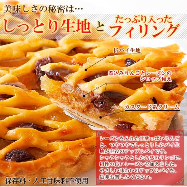 アップルレーズンパイ 5号 サイズ ホール りんごプレザーブ レーズンパイ アップルパイ 林檎 保存料不使用 人工甘味料不使用 ポスト投函 【納期E】【sm00010844】