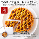 アップルレーズンパイ 5号 サイズ ホール りんごプレザーブ レーズンパイ アップルパイ 林檎 保存料不使用 人工甘味料不使用 ポスト投函 【納期E】【sm00010844】