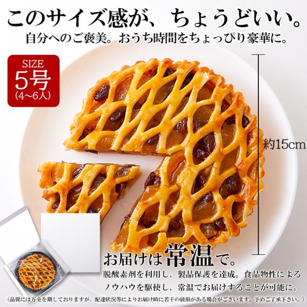 アップルレーズンパイ 5号 サイズ ホール りんごプレザーブ レーズンパイ アップルパイ 林檎 保存料不使用 人工甘味料不使用 ポスト投函 【納期E】【sm00010844】