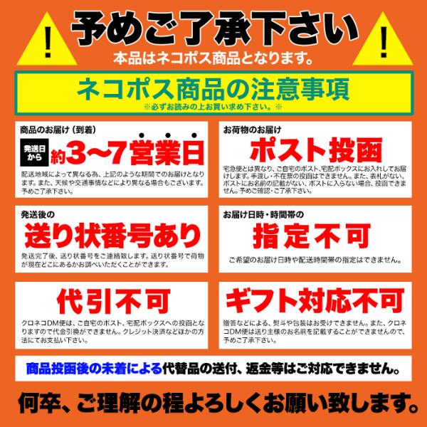 アップルレーズンパイ 5号 ホール りんご レーズン アップルパイ