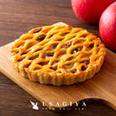 アップルレーズンパイ 5号 サイズ ホール りんごプレザーブ レーズンパイ アップルパイ 林檎 保存料不使用 人工甘味料不使用 ポスト投函 【納期E】【sm00010844】