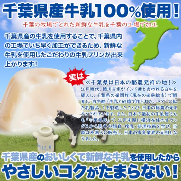 牛乳プリン 大容量 一口 ひとくち 小 濃厚 国産 ミルクプリン