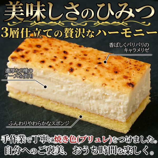 チーズケーキ ブリュレ ナチュラルチーズ チェダー クリーム