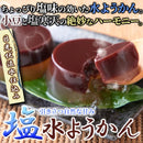 ようかん 塩 羊羹 水羊かん 水ようかん 水羊羹 塩ようかん 塩羊羹 日光 伏流水 小豆 塩寒天 夏 ゼリー スイーツ おやつ 8個入り セット 【納期E】【sm00010859】