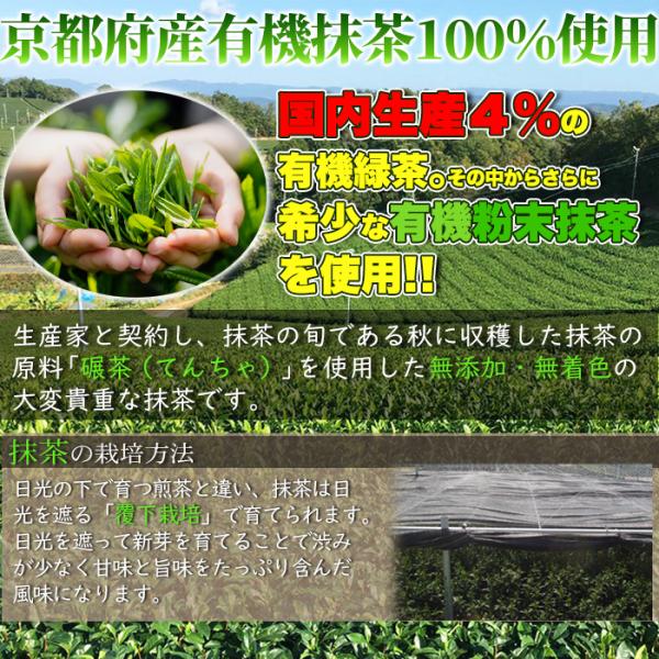 抹茶パウダー 100g 粉末 オーガニック 有機 宇治抹茶 緑茶 国産